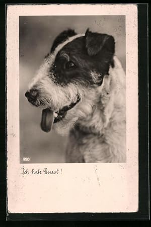 Bild des Verkufers fr Ansichtskarte Ich habe Durst! - Portrait eines Foxterriers zum Verkauf von Bartko-Reher