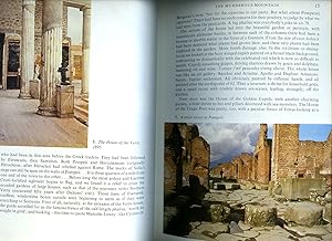 Immagine del venditore per The Shadow of Vesuvius | Pompeii AD 79 [First Trade Edition] venduto da Little Stour Books PBFA Member