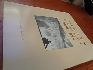 Seller image for Der grosse Saal im Goetheanum 1996 - 1998 for sale by suspiratio - online bcherstube