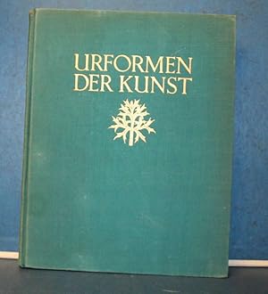 Bild des Verkufers fr Urformen der Kunst Photographische Pflanzenbilder von Professor Karl Blossfeldt. 120 Bildtafeln zum Verkauf von Eugen Kpper