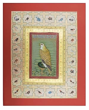 Image du vendeur pour [A domestic falcon].[India, early 20th century]. Folio card (38.5 x 28 cm). Ink and gouache central painting of a falcon, with 24 smaller bird paintings in the elaborate border, painted on paper mounted on paperboard. Matted, framed and glazed. mis en vente par ASHER Rare Books