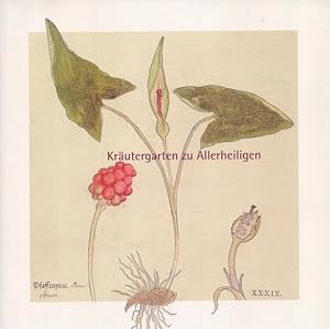 Image du vendeur pour Krutergarten zu Allerheiligen. mis en vente par Homburger & Hepp