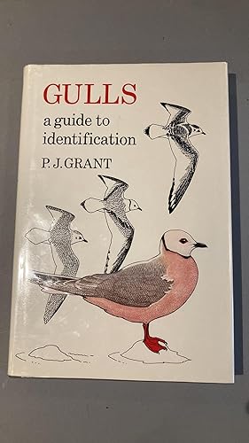 Image du vendeur pour Gulls: A Guide to Identification mis en vente par Elder Books
