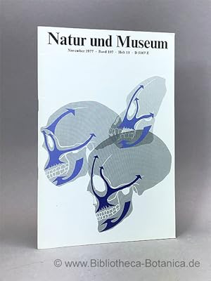Imagen del vendedor de Natur und Museum. Bd. 107. H.11. Bericht der Senckenbergischen Naturforschenden Gesellschaft. a la venta por Bibliotheca Botanica