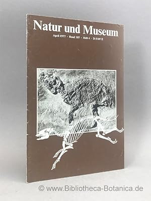 Imagen del vendedor de Natur und Museum. Bd. 107. H.4. Bericht der Senckenbergischen Naturforschenden Gesellschaft. a la venta por Bibliotheca Botanica