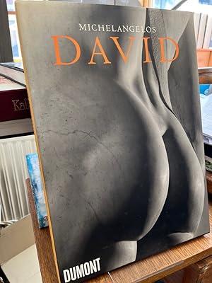 Michelangelos David. Fotografien von Aurelio Amendola. Text von Antonio Paolucci.