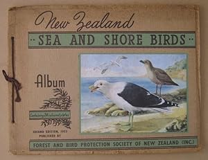 New Zealand Sea and Shore Birds