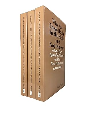 Why Are These Books in the Bible and Not Others? ; Volume 1,2, and 3; A Translator's Perspective ...