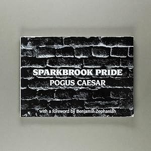 Sparkbrook Pride