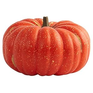 Bild des Verkufers fr The Perfect Pumpkin zum Verkauf von WeBuyBooks