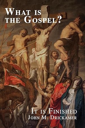 Seller image for What Is the Gospel? It is Finished for sale by moluna