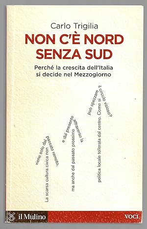 Seller image for Non c' nord senza sud - Perch la crescita dell'Italia si decide nel Mezzogiorno for sale by Sergio Trippini