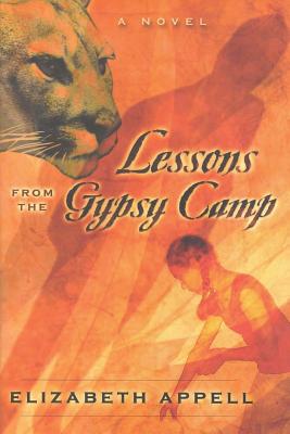 Seller image for Lessons from the Gypsy Camp: Consequences (Paperback or Softback) for sale by BargainBookStores