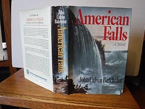 American Falls: a Novel