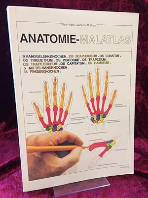 Seller image for Anatomie-Malatlas. Aus dem Amerikanischen übersetzt und textlich überarbeitet von Adela Zatecky. for sale by Altstadt-Antiquariat Nowicki-Hecht UG