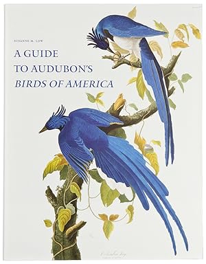 Seller image for A Guide to Audubon's Birds of America: A Concordance Containing Current Names of the Birds, Plate Names With Descriptions of Plate Variants, a Description of the Bien Edition, and Corresponding Indexes for sale by Donald A. Heald Rare Books (ABAA)