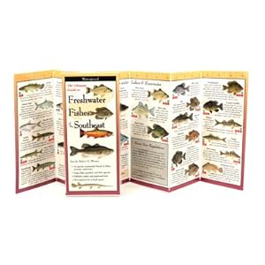 Bild des Verkufers fr Freshwater Fishes of the Southeast (Poster) zum Verkauf von BargainBookStores