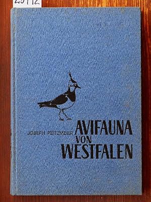 Bild des Verkufers fr Avifauna von Westfalen. In Zusammenarbeit mit den Mitgliedern der Arbeitsgemeinschaft westflischer Ornithologen. Hrsg. als H. 3, 31. Jg. der Abhandlungen aus dem Landesmuseum fr Naturkunde zu Mnster in Westfalen. zum Verkauf von Michael Fehlauer - Antiquariat