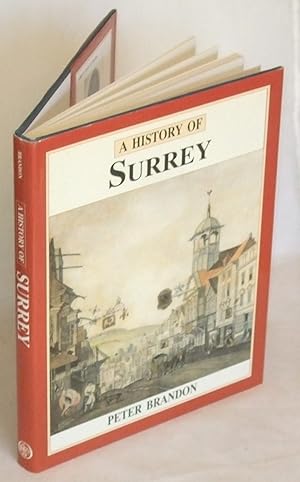 Seller image for A History of Surrey for sale by James Hulme Books