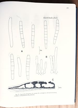 Sutton, Brian C.: The Coelomycetes, Fungi Imperfecti with Pycnidia, Acervuli, and Stromata