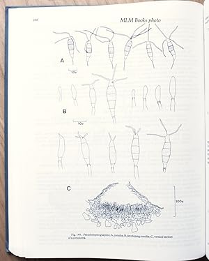 Sutton, Brian C.: The Coelomycetes, Fungi Imperfecti with Pycnidia, Acervuli, and Stromata