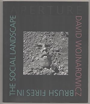 Seller image for Aperture 137 David Wojnarowicz: Brush Fires In The Social Landscape for sale by Jeff Hirsch Books, ABAA