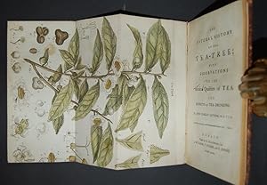 Seller image for The Natural History of the Tea-Tree; with Observations on the Medical Qualities of Tea. And Effects of Tea-Drinking. for sale by Forest Books, ABA-ILAB