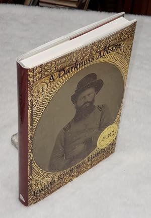 A Darkness Ablaze: The Civil War Medical Diary and Wartime Experiences of Dr. John Hendricks Kiny...