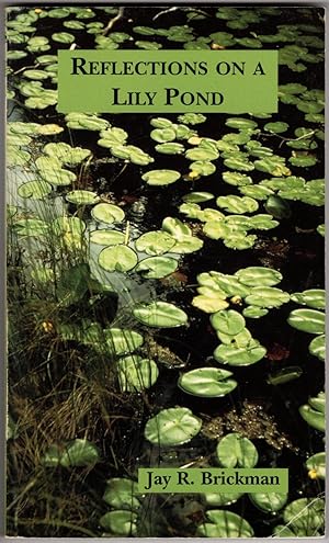 Reflections on a Lily Pond