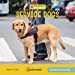 Immagine del venditore per Service Dogs (21st Century Junior Library: Understanding Disability) [No Binding ] venduto da booksXpress