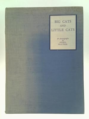 Seller image for Big Cats and Little Cats for sale by World of Rare Books