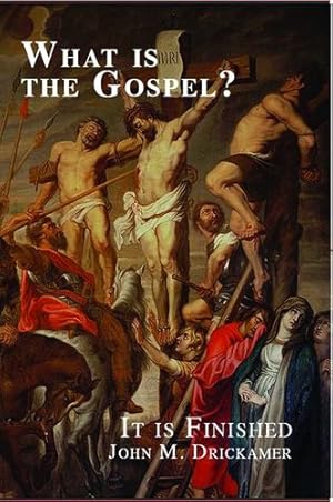 Seller image for What Is the Gospel? It is Finished [Soft Cover ] for sale by booksXpress