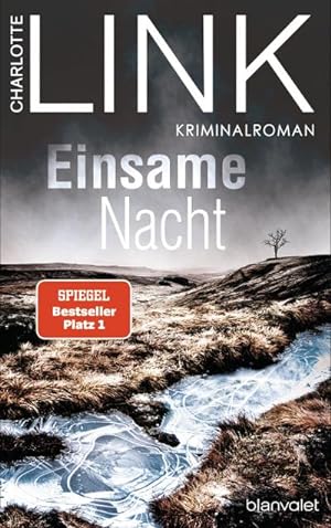 Bild des Verkäufers für Einsame Nacht : Kriminalroman zum Verkauf von AHA-BUCH GmbH