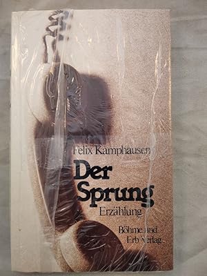 Immagine del venditore per Der Sprung. venduto da KULTur-Antiquariat