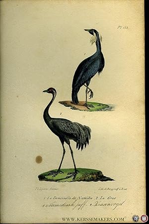 Seller image for Numidische juffrouw / kraanvogel. Uit: Oeuvres compltes de Buffon suivies de ses continuateurs Daubenton, Lacpde, Cuvier, Dumril, Poiret, lesson et Geoffroy-St-Hillaire for sale by Emile Kerssemakers ILAB