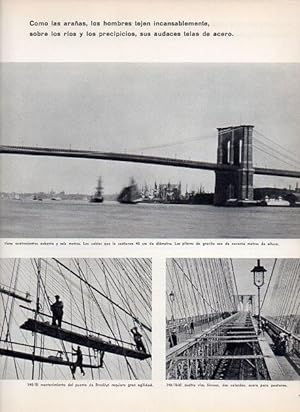 Immagine del venditore per LAMINA V11412: Puente de Brooklyn, Nueva York venduto da EL BOLETIN