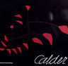 Immagine del venditore per Calder. Scultore dell'aria venduto da Messinissa libri