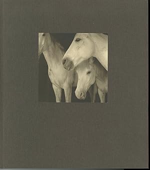 21ST: THE JOURNAL OF CONTEMPORARY PHOTOGRAPHY, CULTURE & CRITICISM Volume One.