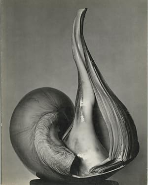 Seller image for EW:100. CENTENNIAL ESSAYS IN HONOR OF EDWARD WESTON for sale by Andrew Cahan: Bookseller, Ltd., ABAA