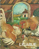 Seller image for LIGABUE for sale by Messinissa libri