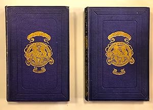 Image du vendeur pour Magasin d'ducation et de rcration 1867 4eme Anne 8e et 9e Volume mis en vente par Librairie de l'Anneau
