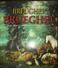 Seller image for BREUGHEL - BRUEGHEL for sale by Messinissa libri