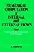 Immagine del venditore per Numerical Computation of Internal and External Flows. Volume 1: Fundamentals of Numerical Discretization (Wiley Series in Numerical Methods in Engineering) [Soft Cover ] venduto da booksXpress