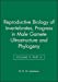 Seller image for Reproductive Biology of Invertebrates [Hardcover ] for sale by booksXpress