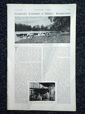 The Culverthorpe Herd, ( General Aldercron's cattle at Culverthorpe Hall nr Grantham), complete o...