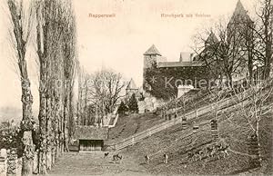 Bild des Verkufers fr Postkarte Carte Postale 13824846 Rapperswil -Jona Rapperswyl Zuerichsee SG Hirschpark mit Schloss zum Verkauf von Versandhandel Boeger