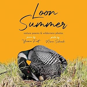 Seller image for Loon Summer for sale by moluna