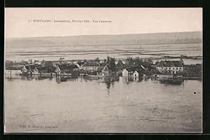 Ansichtskarte Portejoie, Inondation de 1910, Vue Générale, Hochwasser