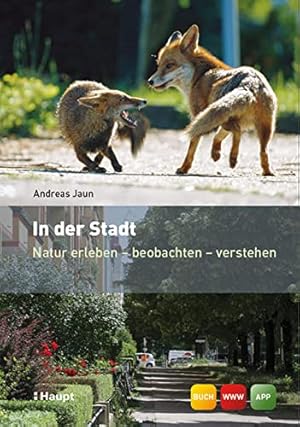 Bild des Verkufers fr Jaun, A: In der Stadt zum Verkauf von WeBuyBooks