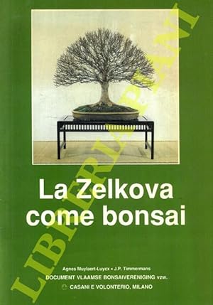 La Zelkova come bonsai.